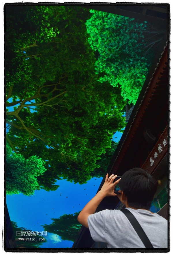 9月8日，在西安市大雁塔景區(qū)，“天幕”景觀吸引游客駐足觀看，并拿出手機(jī)拍攝。